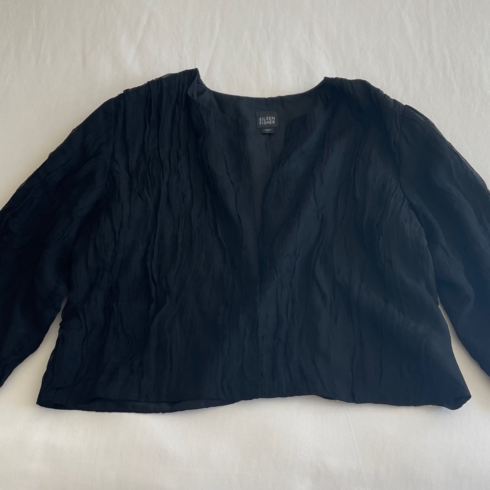Eileen Fisher Black Crinkle V-Neck Long Sleeve Top